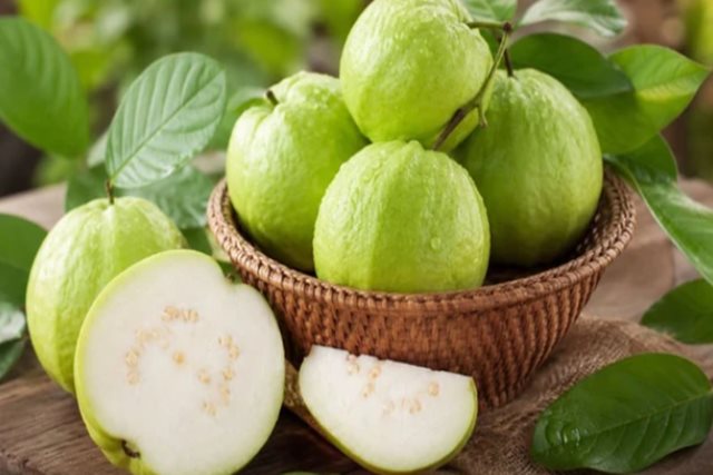 Ăn 1 quả ổi vào buổi sáng có tác dụng gì? 5 lý do bạn nên thử ngay